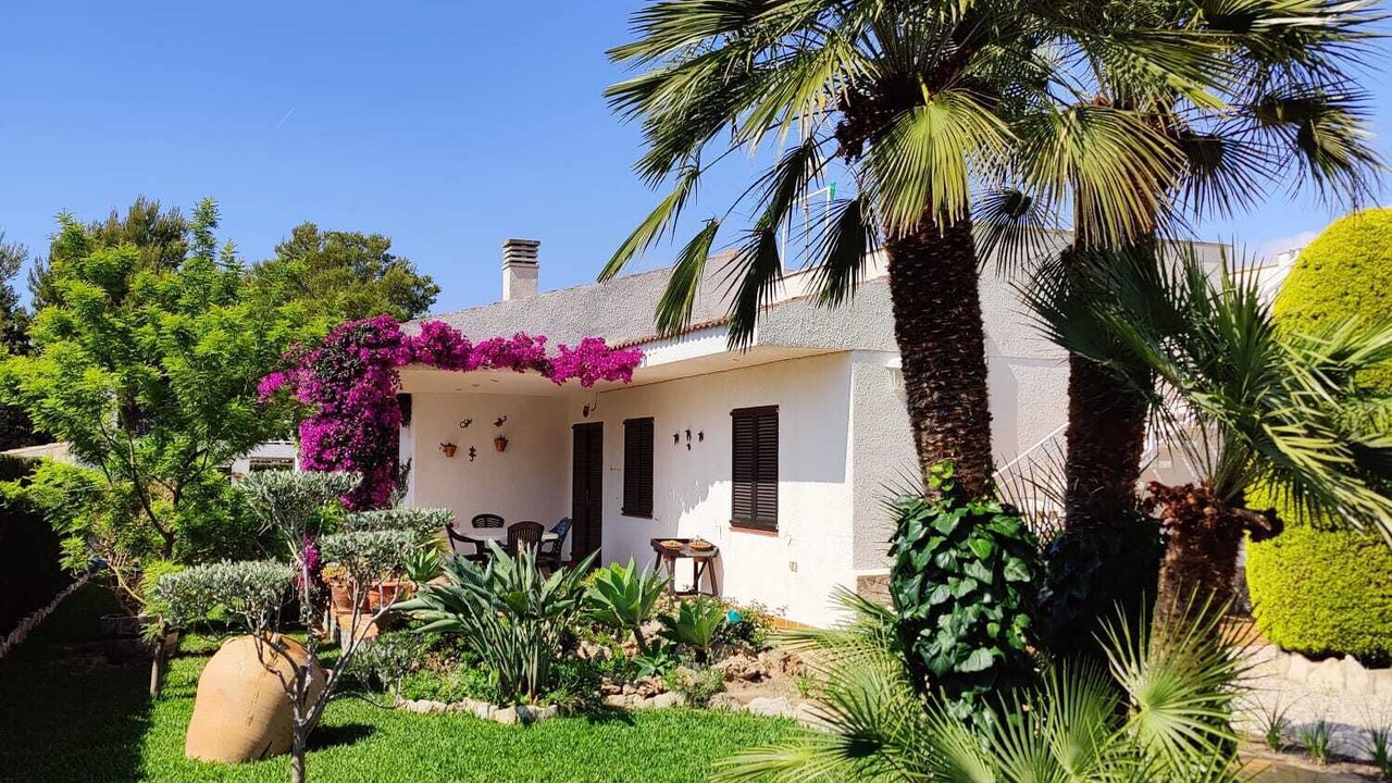 Photo of Outdoor in Calafat