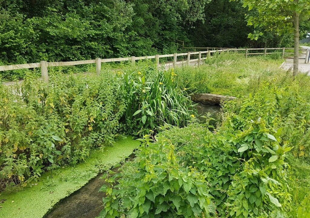 Photo of Others in Yeovil