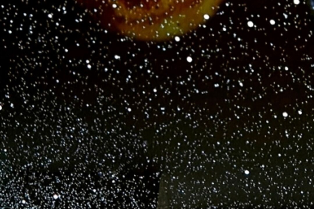 Photo of Others in Sequedin