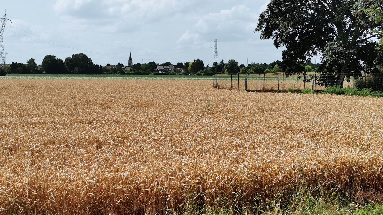 Photo of Outdoor in Sequedin