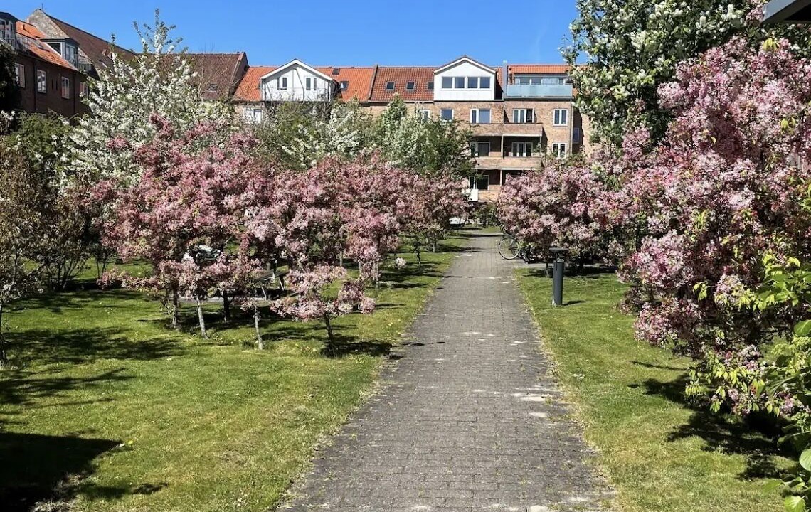 Photo of Outdoor in Aalborg