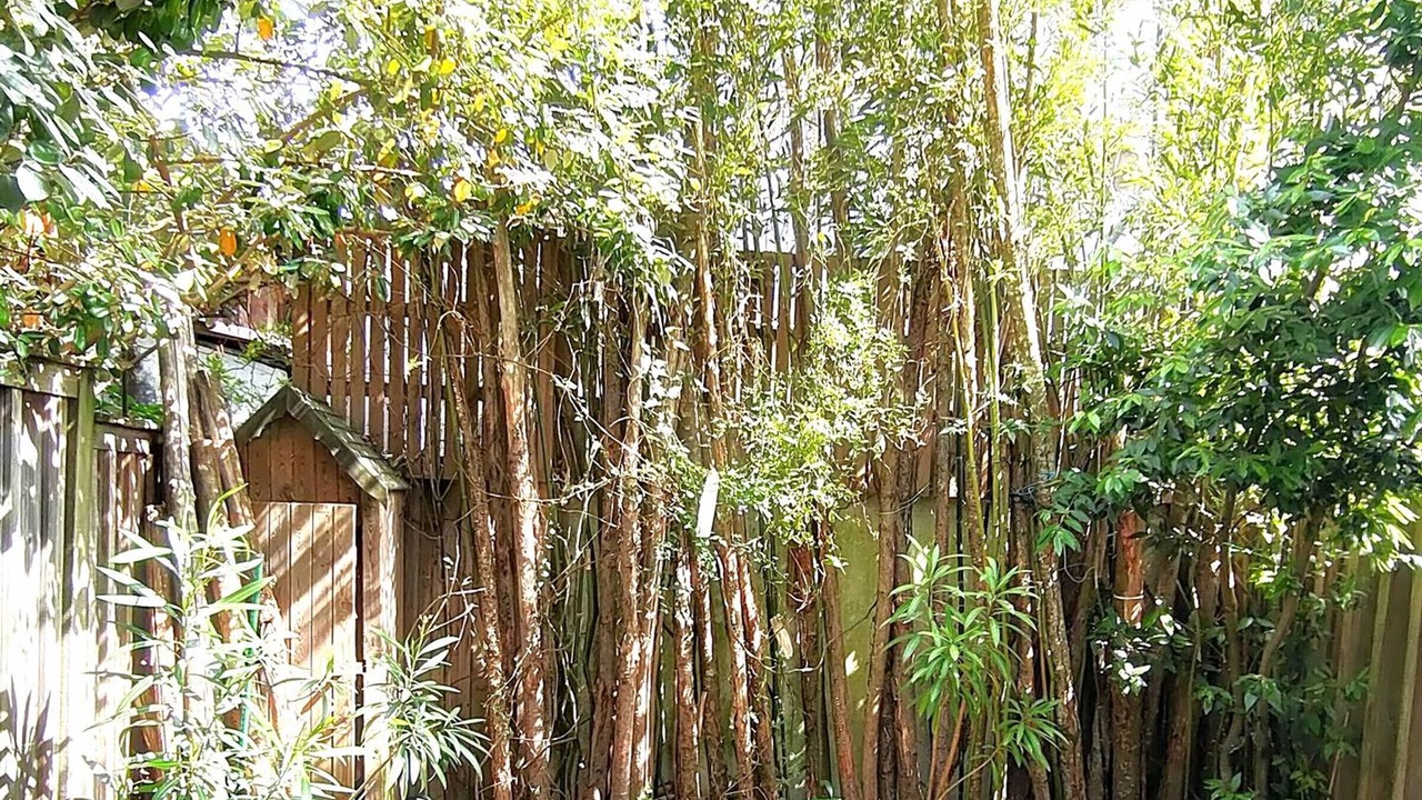 Photo of Outdoor in Le Canon