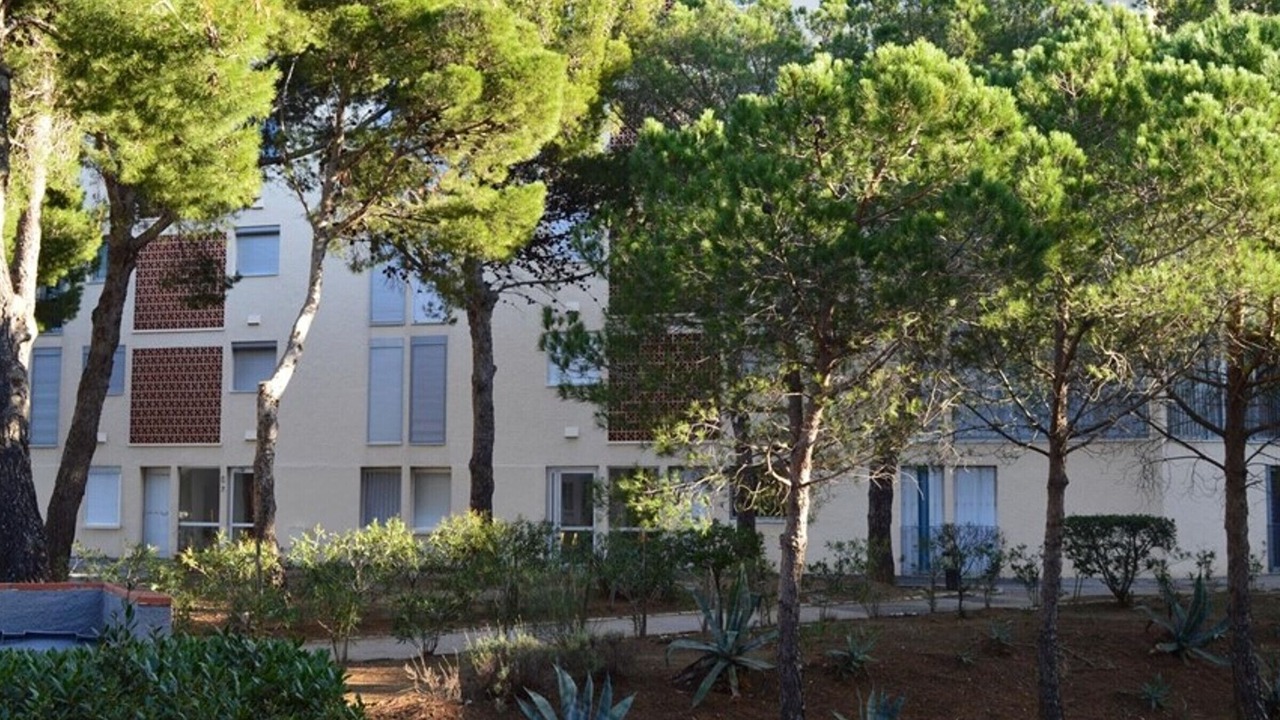 Photo of Outdoor in Banyuls-sur-Mer