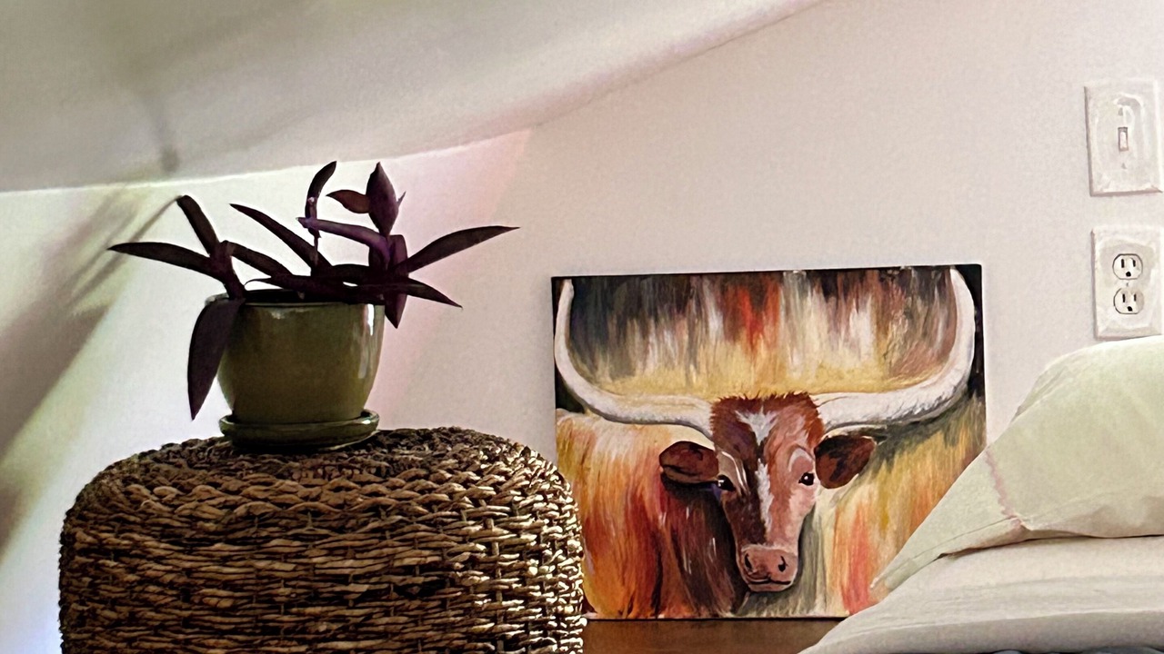 Photo of Bedroom in Irving