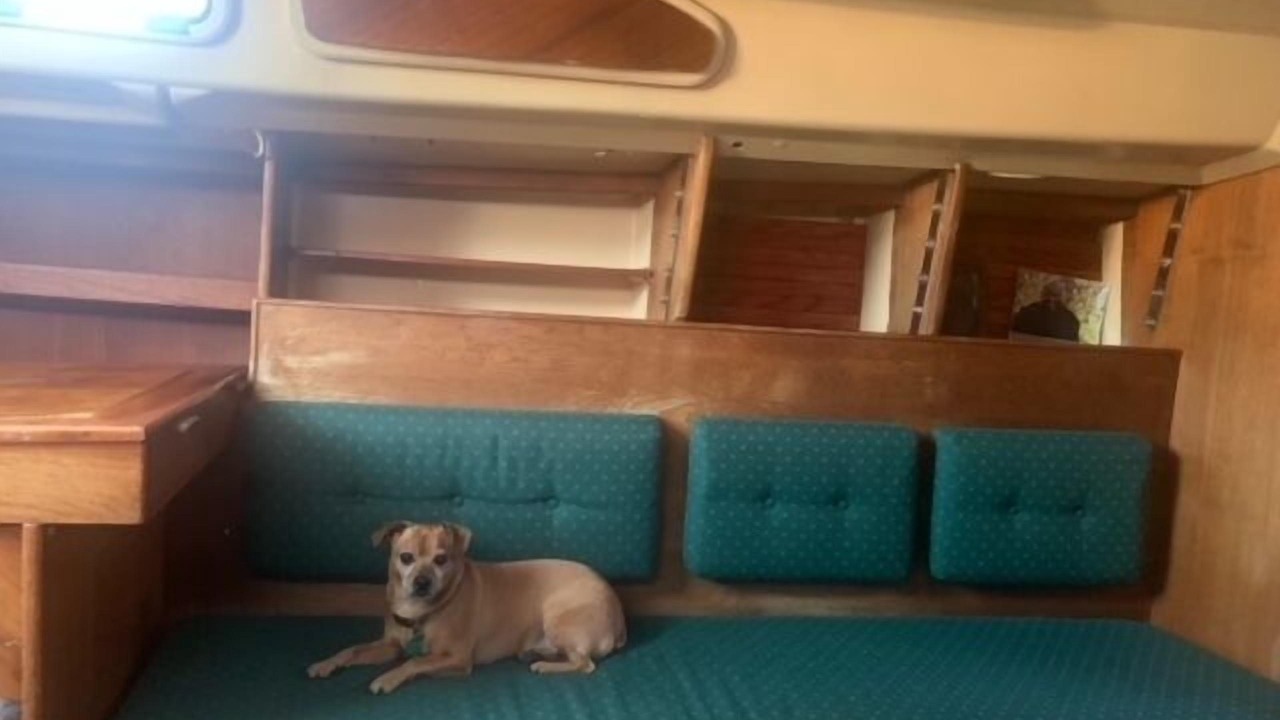 Photo of Others in Parole