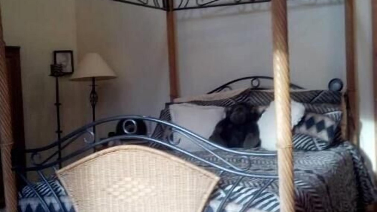 Photo of Bedroom in Clarendon