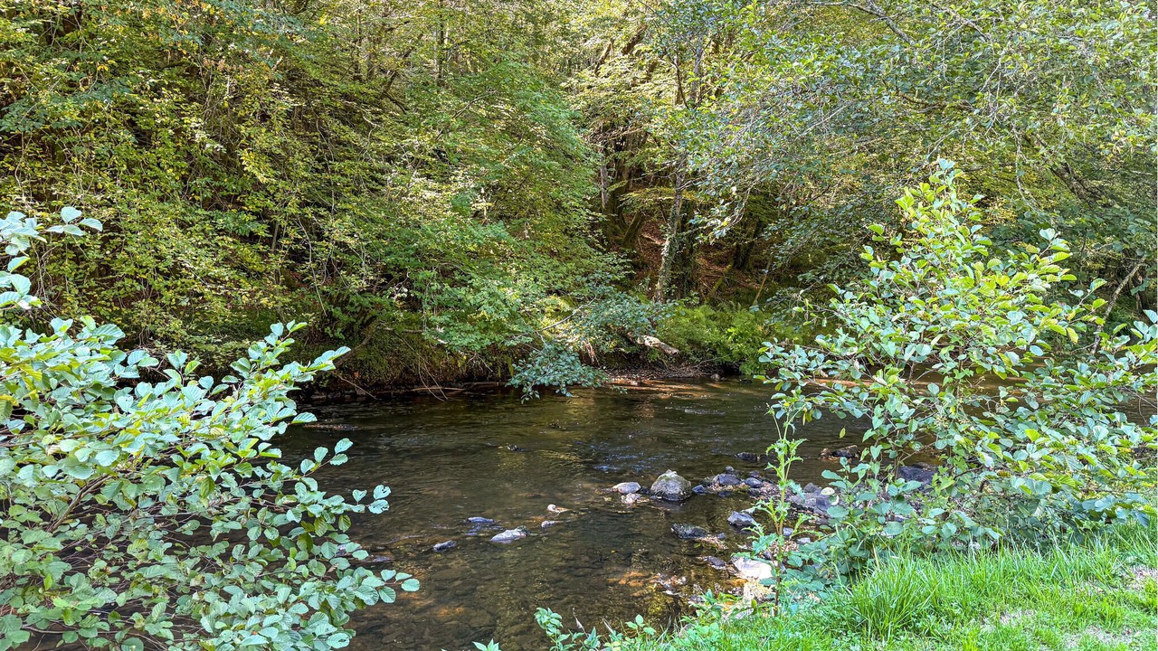 Photo of Others in Saint-Paul-la-Roche