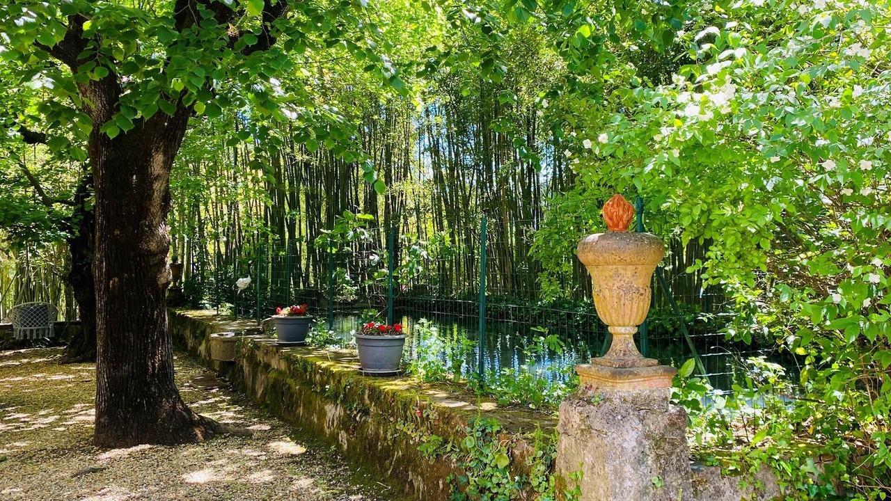 Photo of Others in Anduze