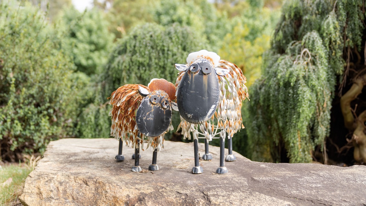 Photo of Outdoor in Buffalo River