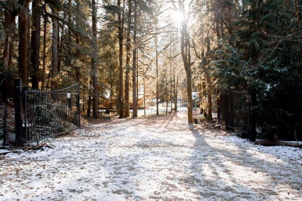 Photo of Outdoor in Verlot