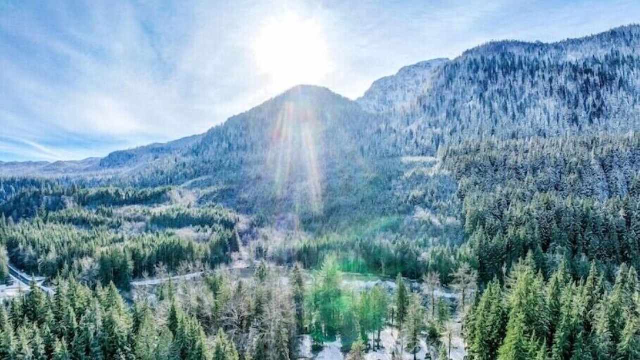 Photo of Others in Verlot