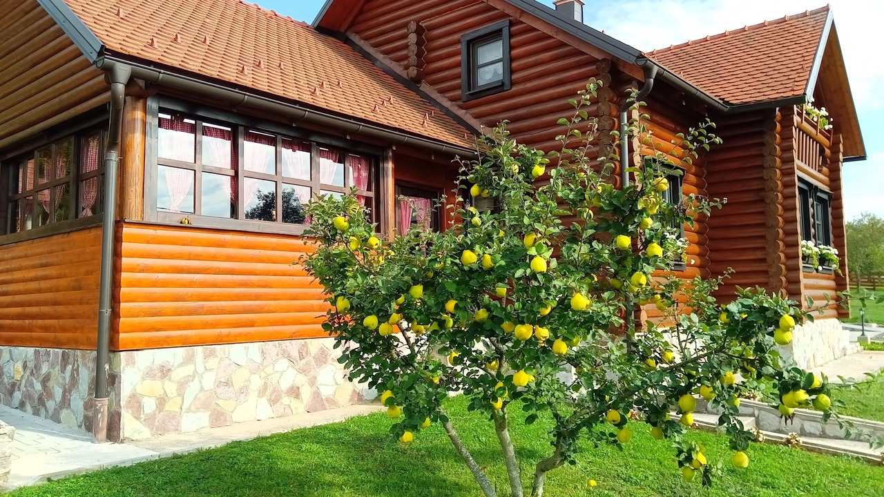 Photo of Outdoor in Otocac