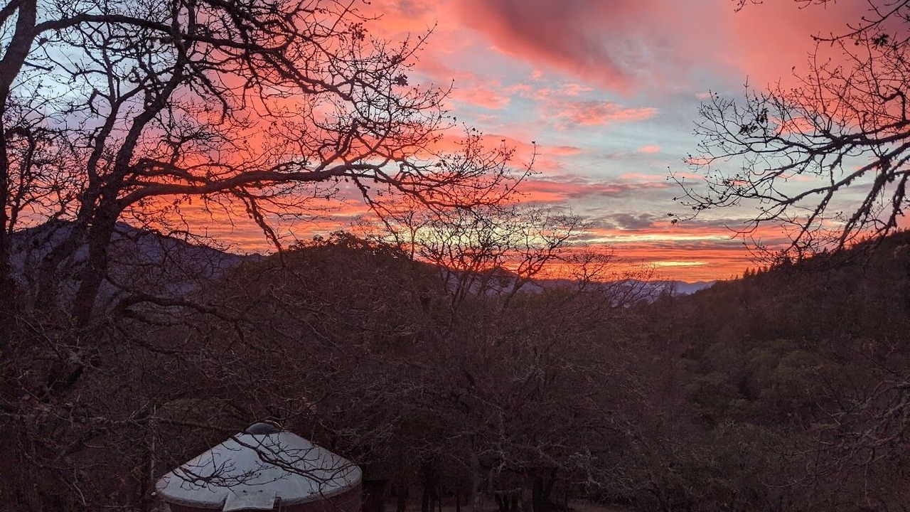 Photo of Others in Jacksonville