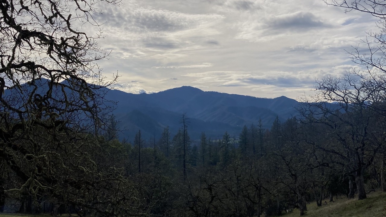 Photo of Others in Jacksonville