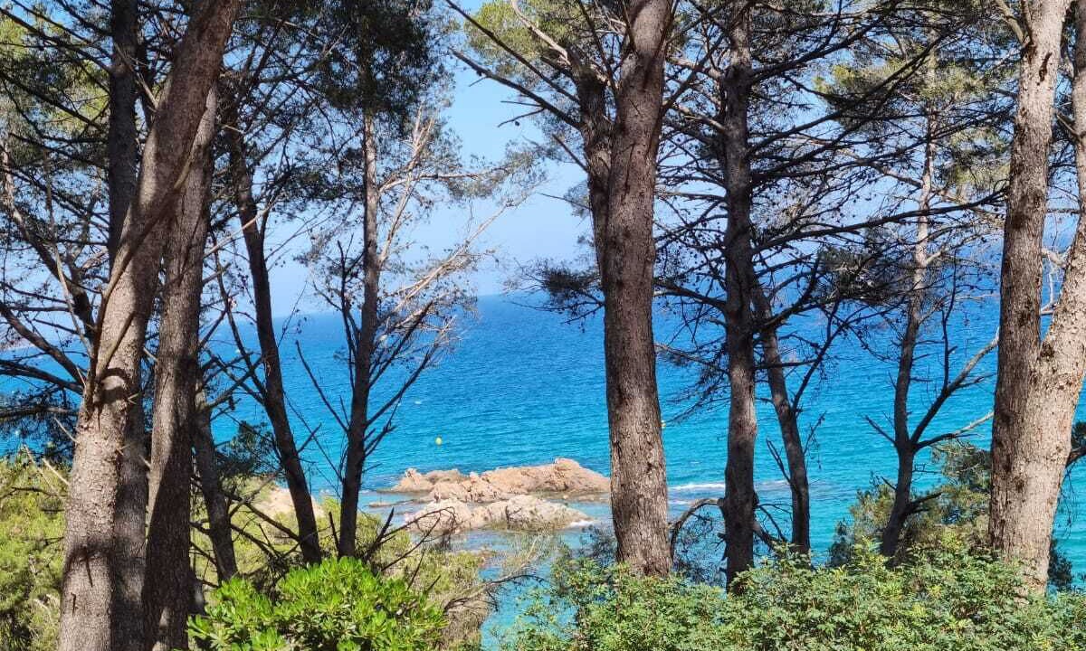 Photo of Outdoor in Vidreres