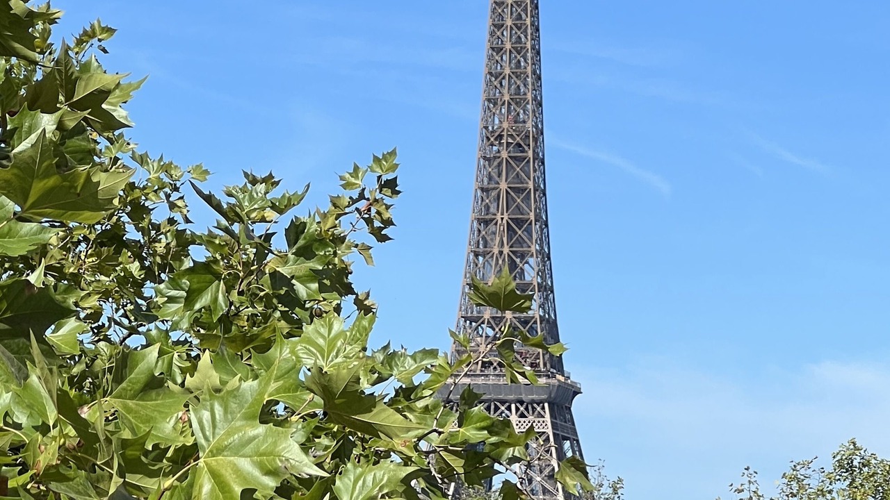 Photo of Others in Quartier de l'Ecole-Militaire