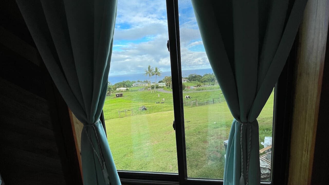 Photo of Others in Hilo