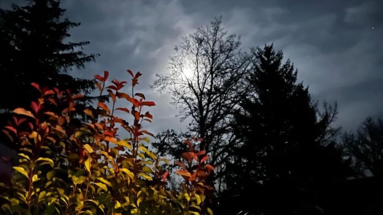 Photo of Others in Royere-de-Vassiviere