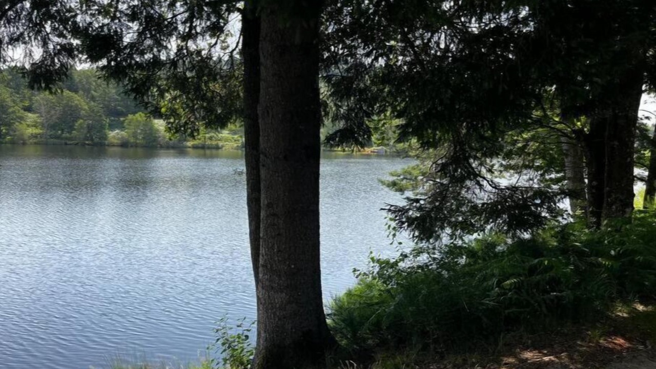 Photo of Others in Royere-de-Vassiviere