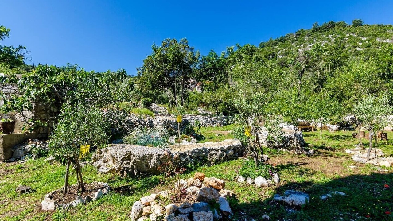 Photo of Outdoor in Korita