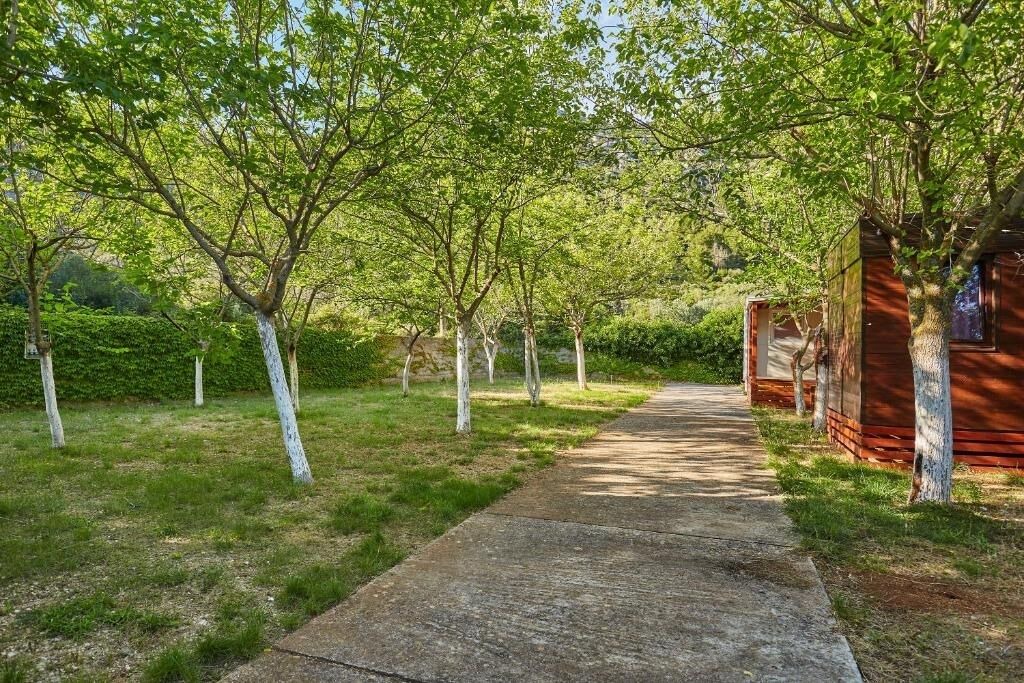 Photo of Outdoor in Mljet