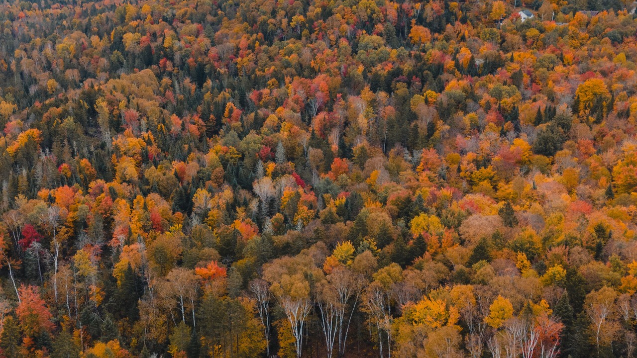 Photo of Outdoor in Lac-Superieur