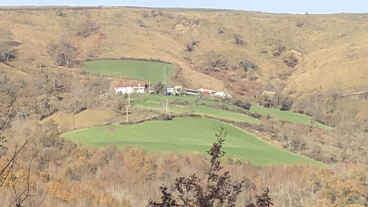 Photo of Others in Osses