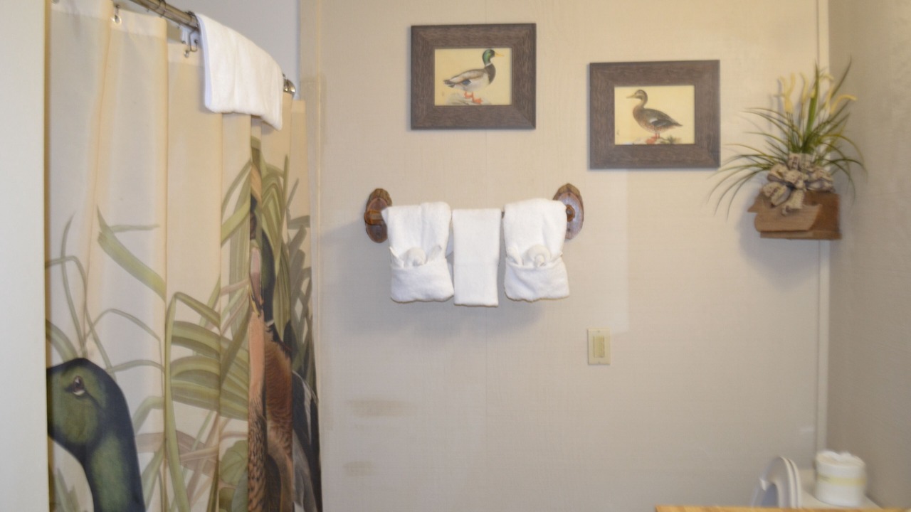 Photo of Bathroom in Royal