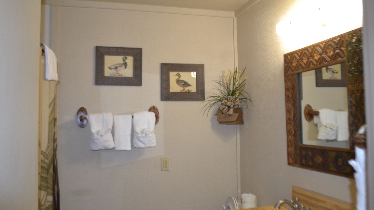 Photo of Bathroom in Royal