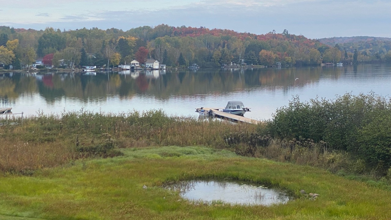 Photo of Others in Bonfield