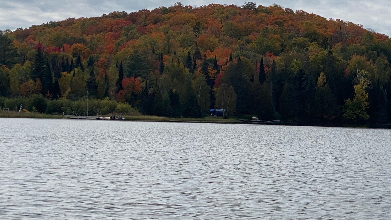Photo of Others in Bonfield