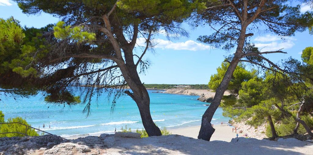 Photo of Others in La Couronne