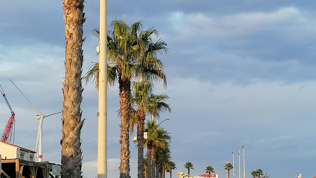 Photo of Others in Port-la-Nouvelle