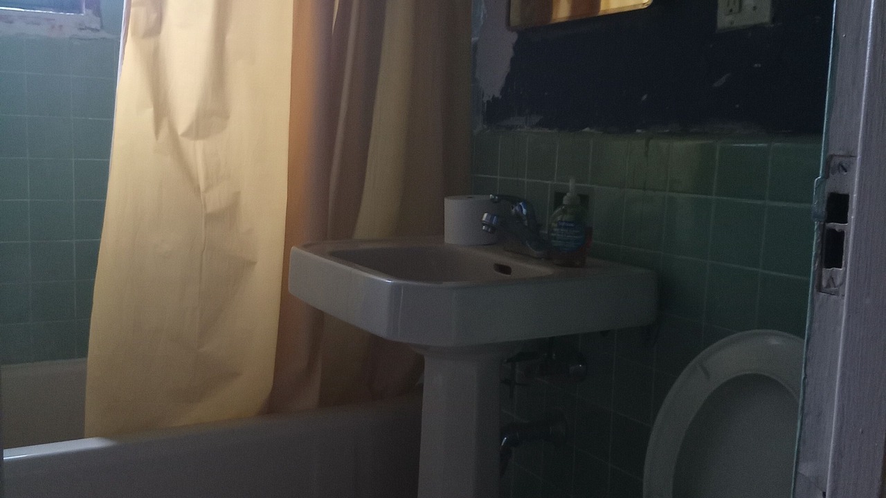 Photo of Bathroom in Parkchester