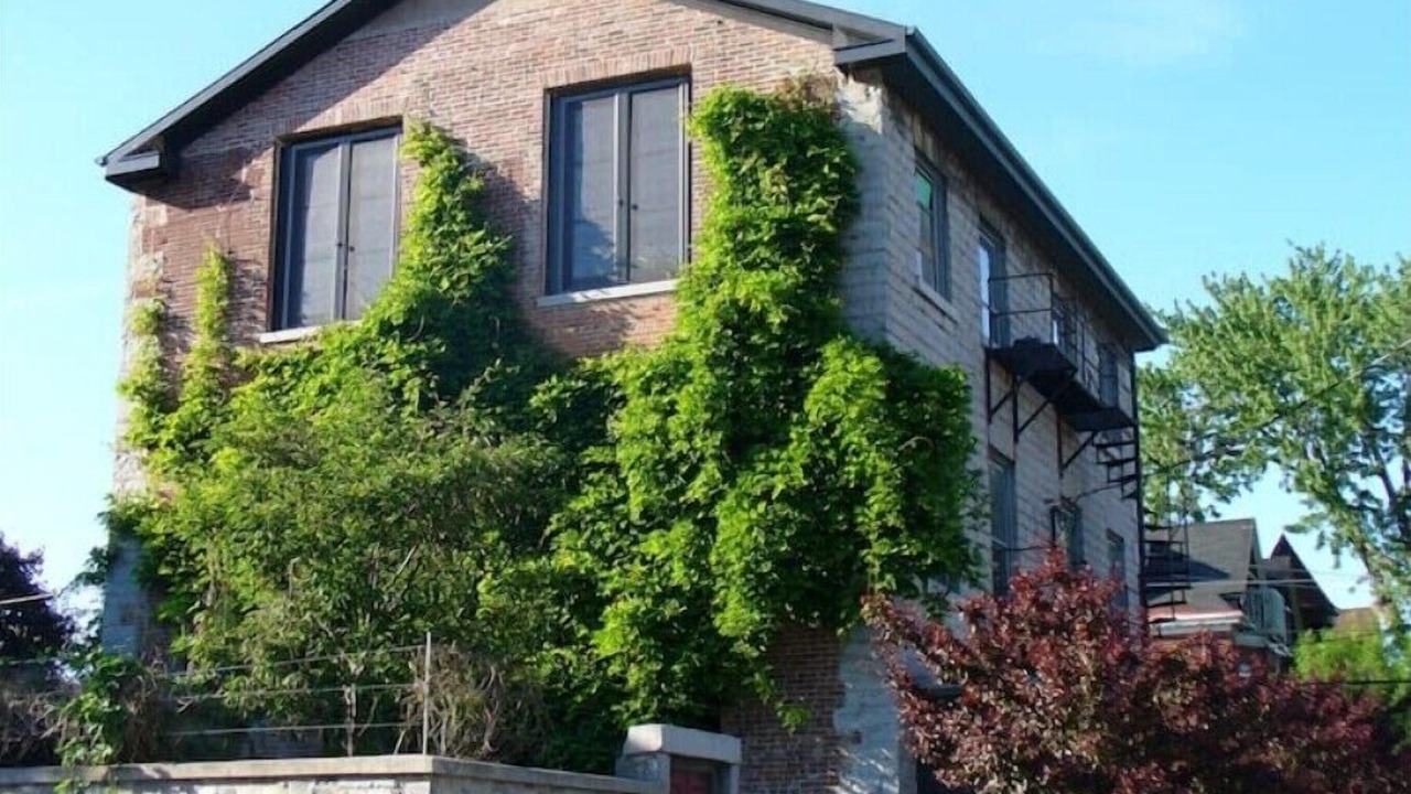 Photo of Outdoor in Kingston