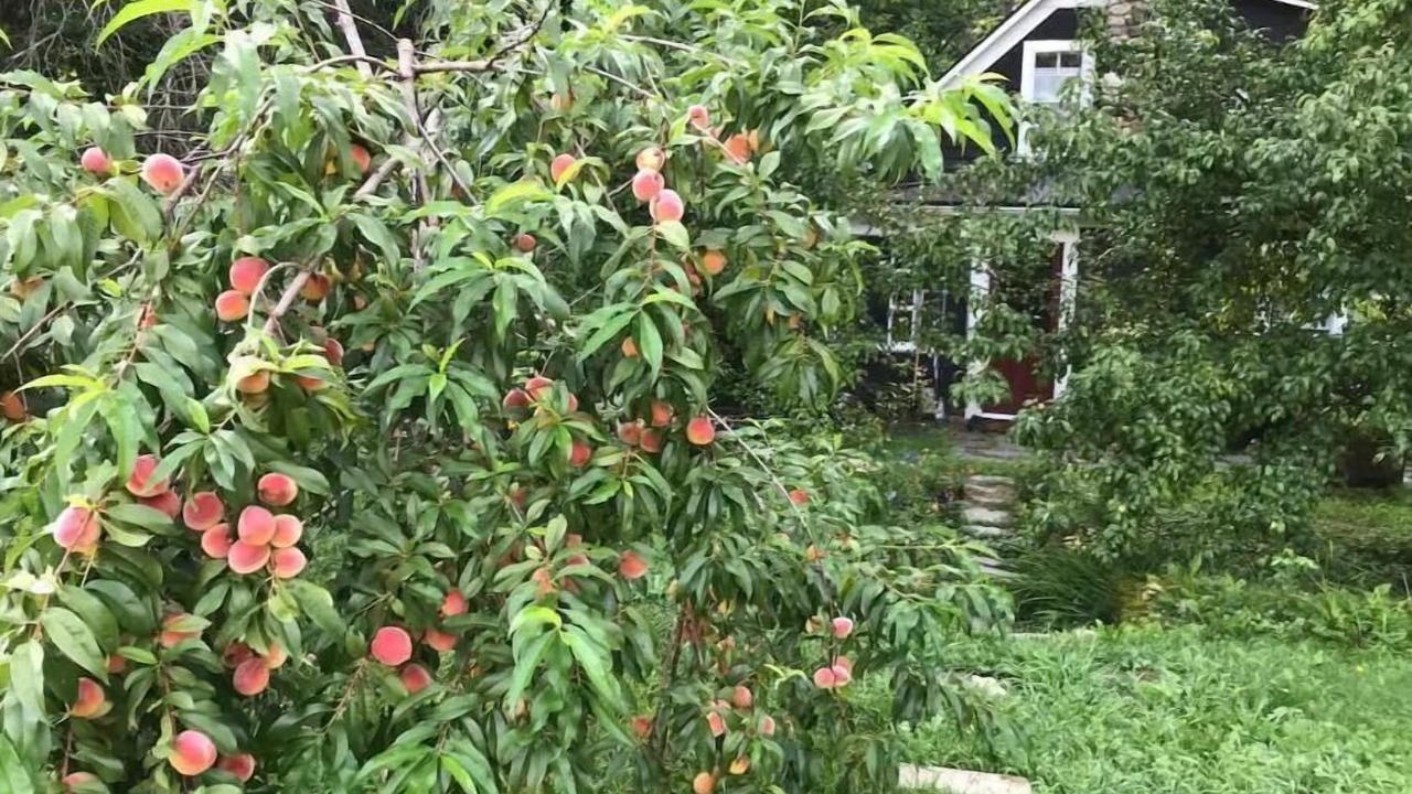 Photo of Outdoor in New London