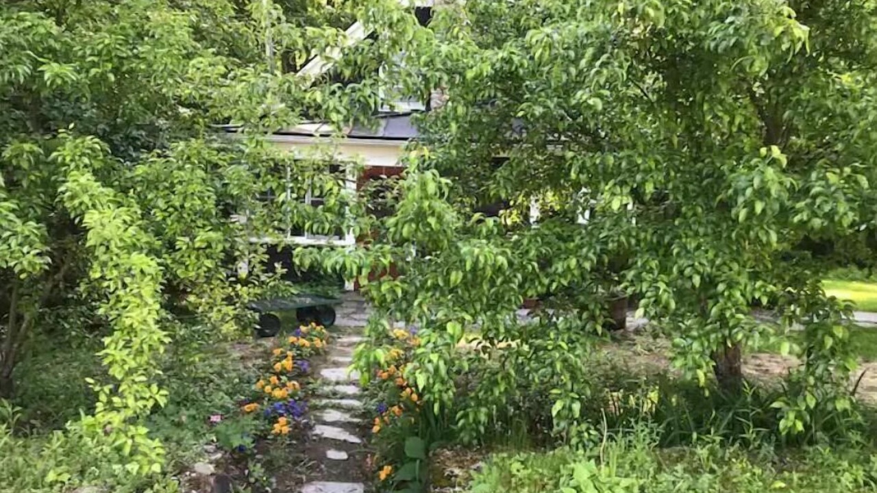 Photo of Outdoor in New London