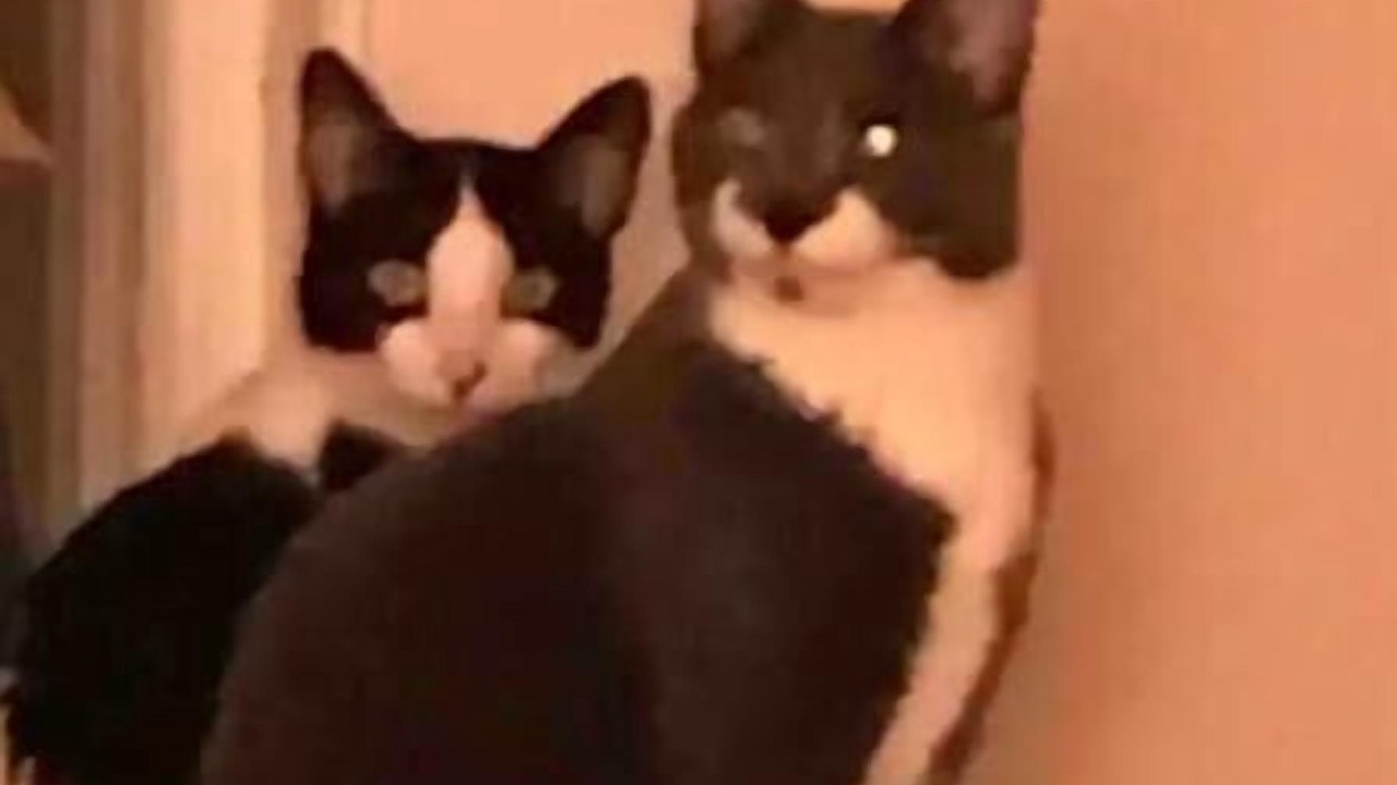 Photo of Others in New London