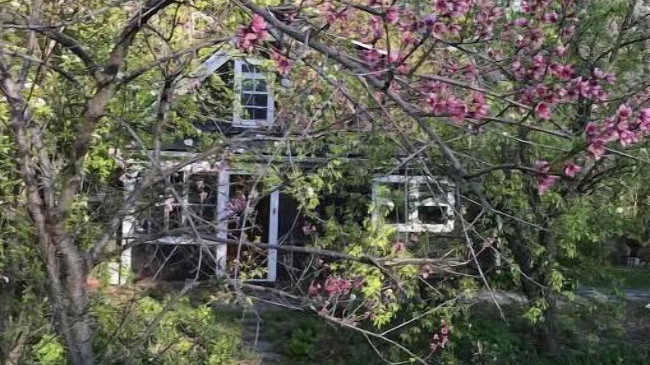 Photo of Outdoor in New London