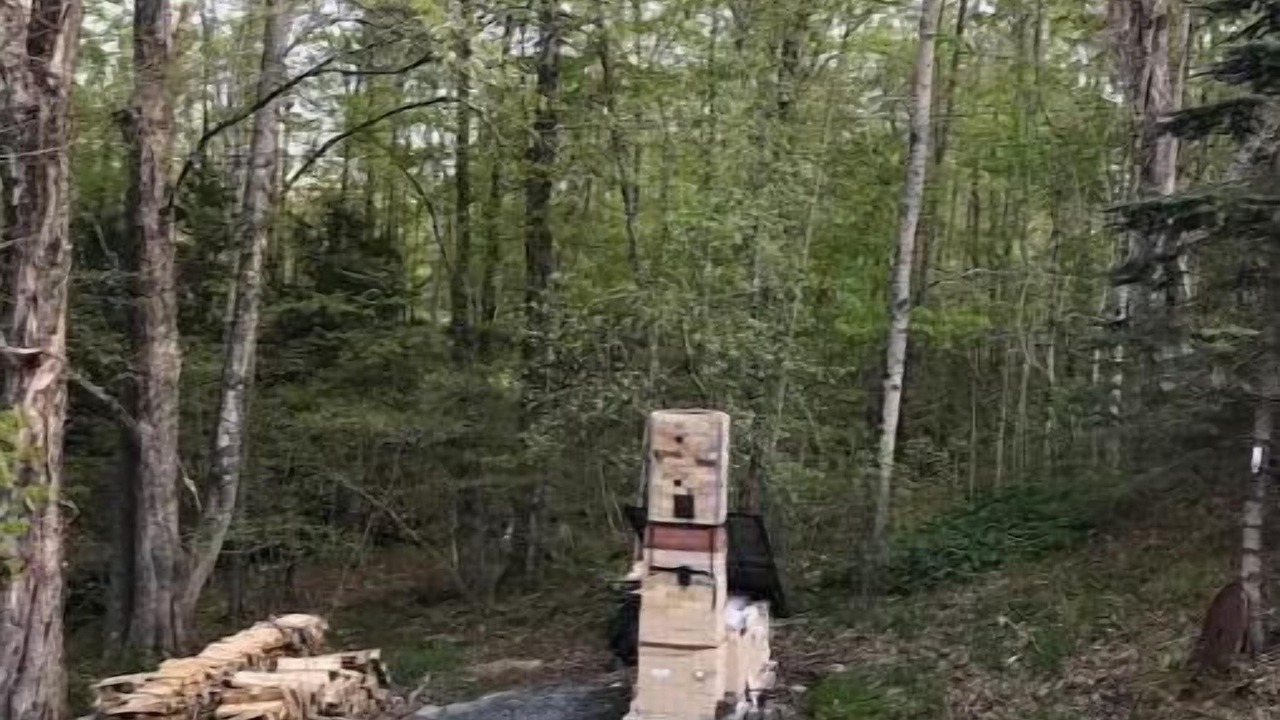 Photo of Others in New London