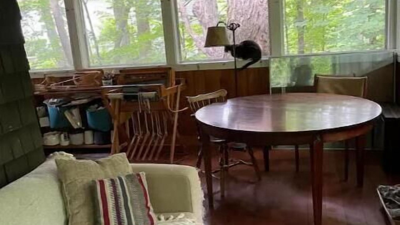 Photo of Livingroom in New London