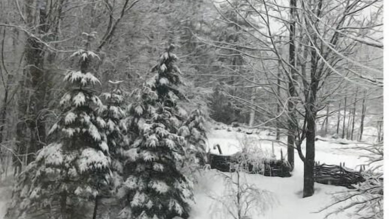 Photo of Others in New London