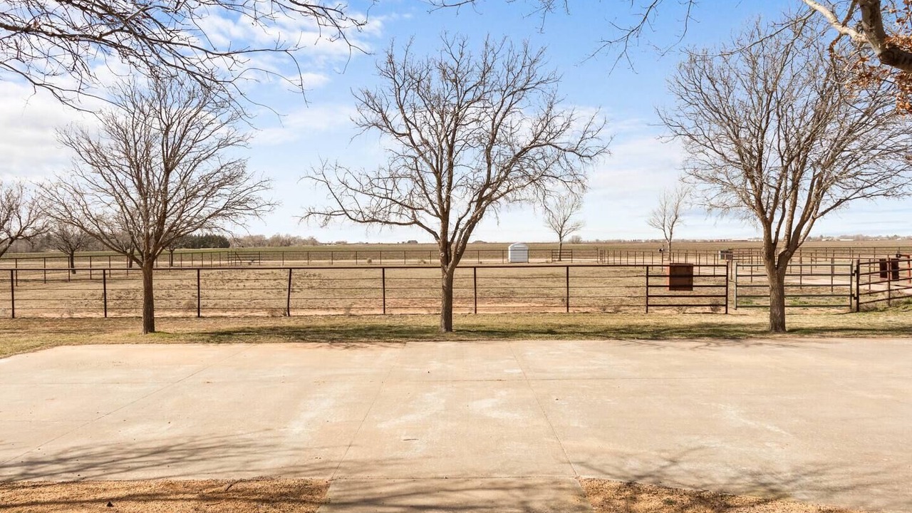 Photo of Others in Shallowater