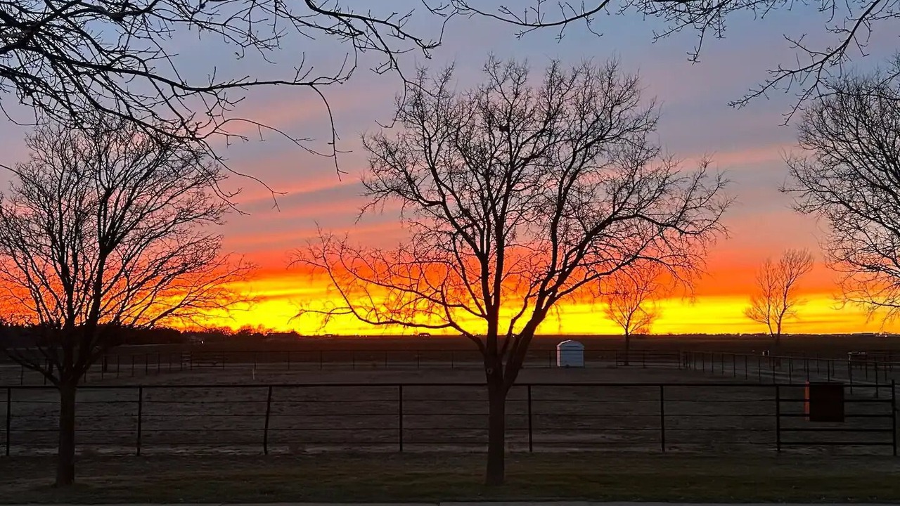 Photo of Outdoor in Shallowater