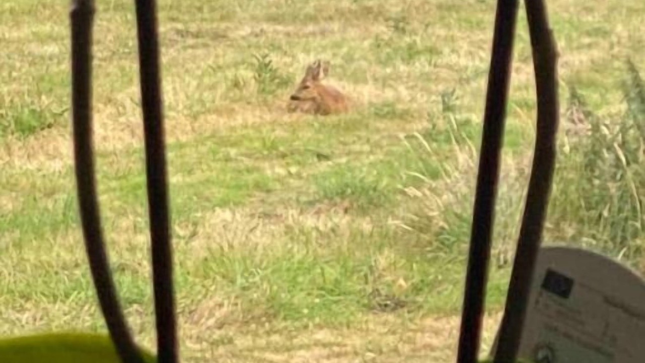 Photo of Outdoor in Plouer-sur-Rance
