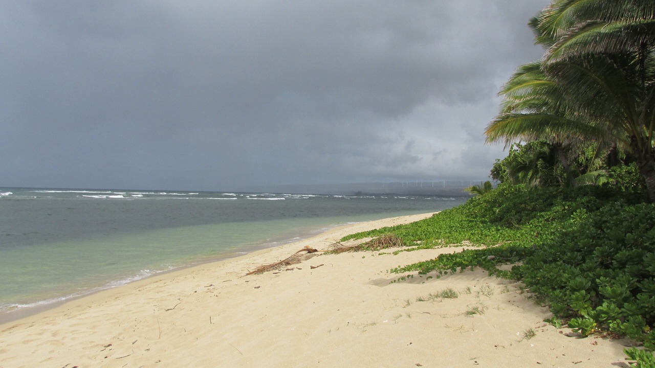 Photo of Others in Mokuleia