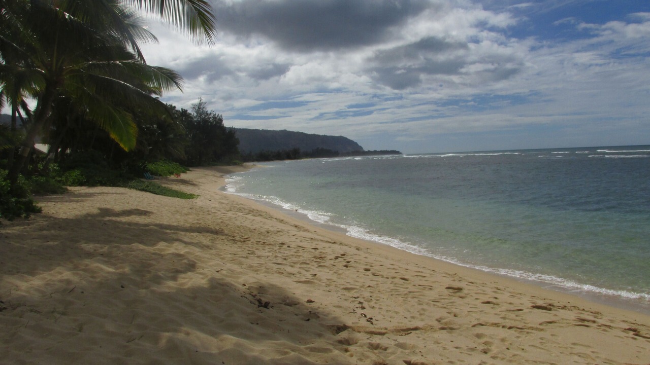 Photo of Others in Mokuleia