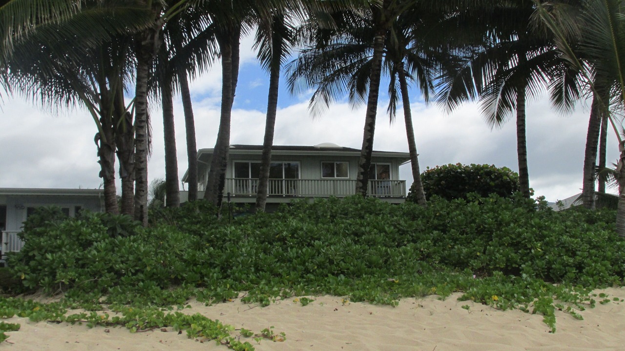 Photo of Others in Mokuleia