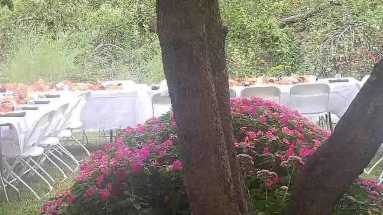 Photo of Outdoor in North Carver