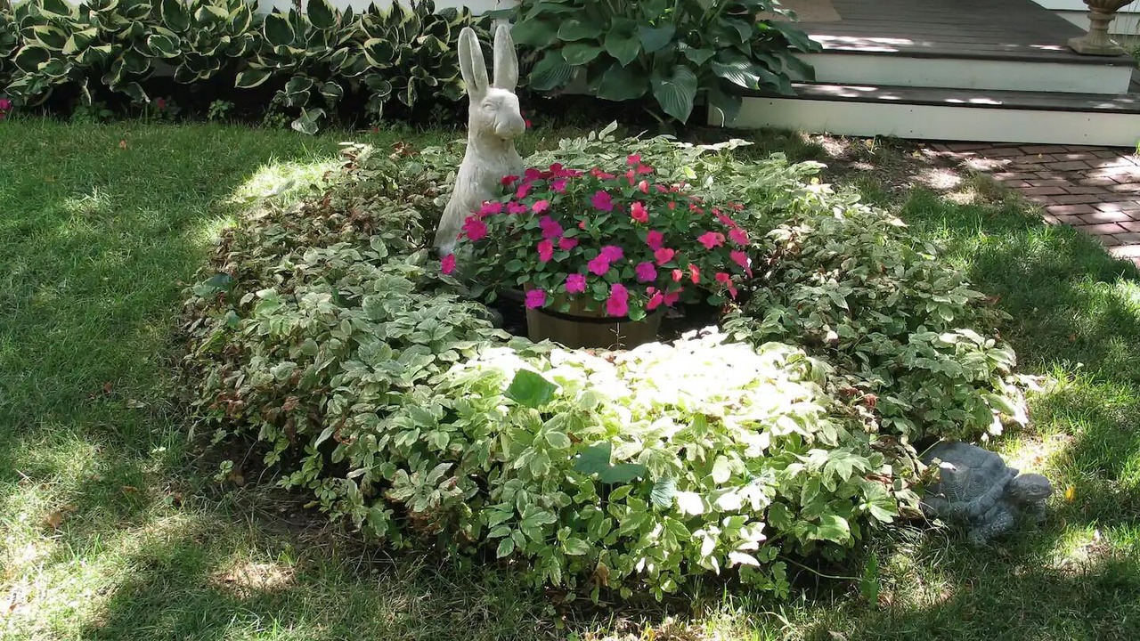 Photo of Outdoor in North Carver